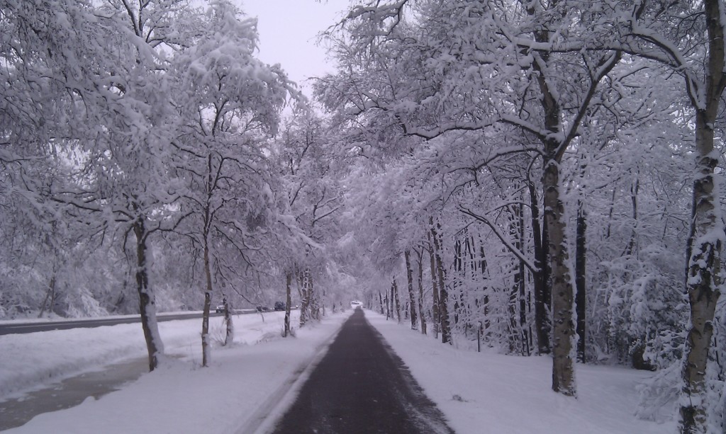 Mooie Feestdagen Allemaal!